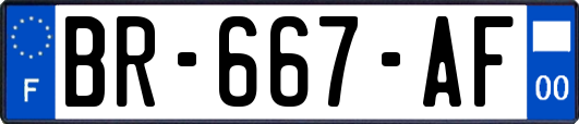 BR-667-AF