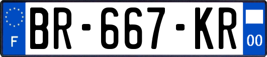 BR-667-KR