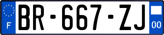 BR-667-ZJ