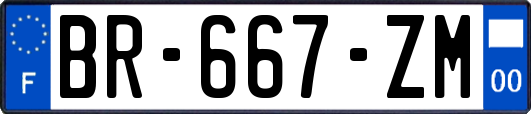 BR-667-ZM