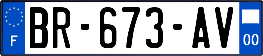 BR-673-AV