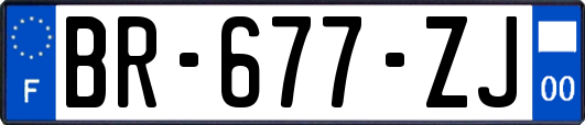 BR-677-ZJ
