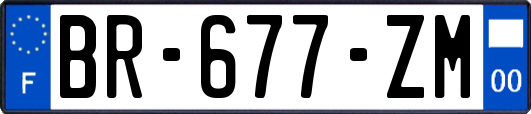 BR-677-ZM