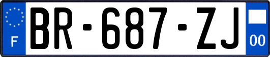 BR-687-ZJ