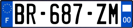 BR-687-ZM