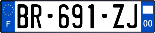 BR-691-ZJ