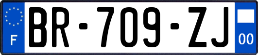 BR-709-ZJ