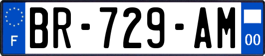 BR-729-AM