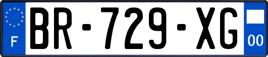 BR-729-XG