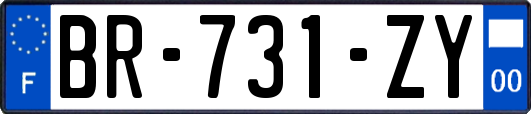 BR-731-ZY
