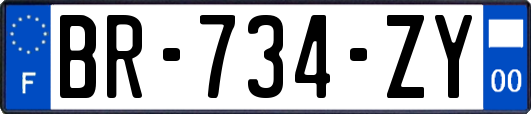 BR-734-ZY
