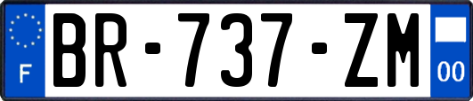 BR-737-ZM