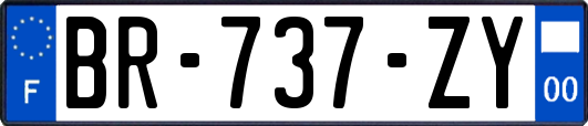 BR-737-ZY