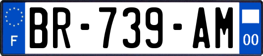 BR-739-AM