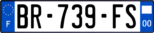 BR-739-FS
