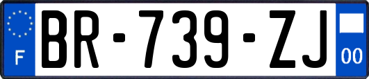 BR-739-ZJ