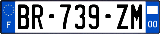 BR-739-ZM