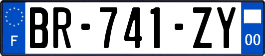 BR-741-ZY