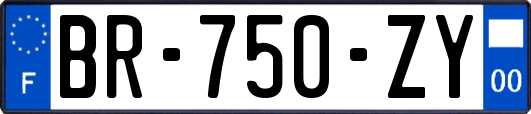 BR-750-ZY