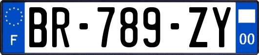 BR-789-ZY