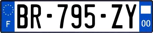 BR-795-ZY