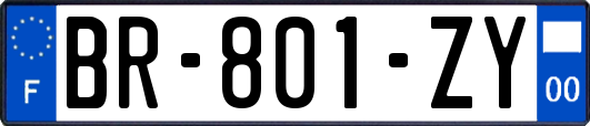 BR-801-ZY