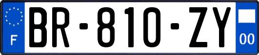 BR-810-ZY