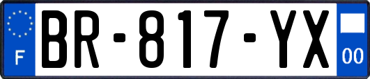BR-817-YX