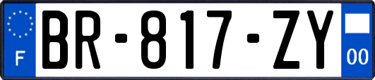 BR-817-ZY