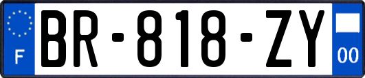 BR-818-ZY