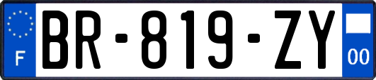 BR-819-ZY
