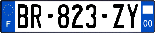 BR-823-ZY