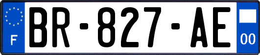 BR-827-AE