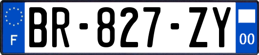 BR-827-ZY