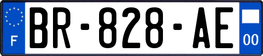 BR-828-AE