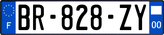 BR-828-ZY