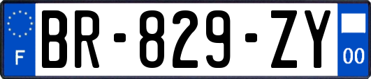BR-829-ZY