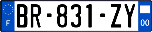BR-831-ZY