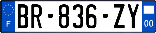 BR-836-ZY