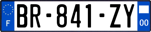 BR-841-ZY