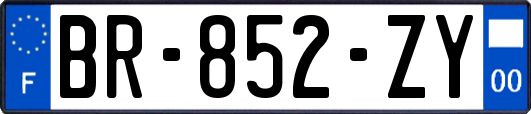 BR-852-ZY