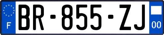 BR-855-ZJ