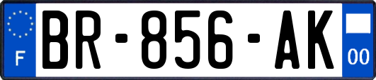 BR-856-AK