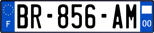 BR-856-AM