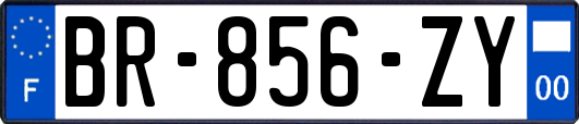 BR-856-ZY
