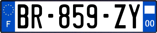 BR-859-ZY