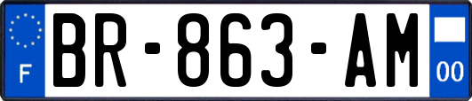 BR-863-AM