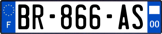 BR-866-AS