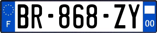 BR-868-ZY