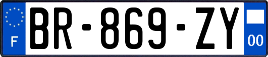 BR-869-ZY
